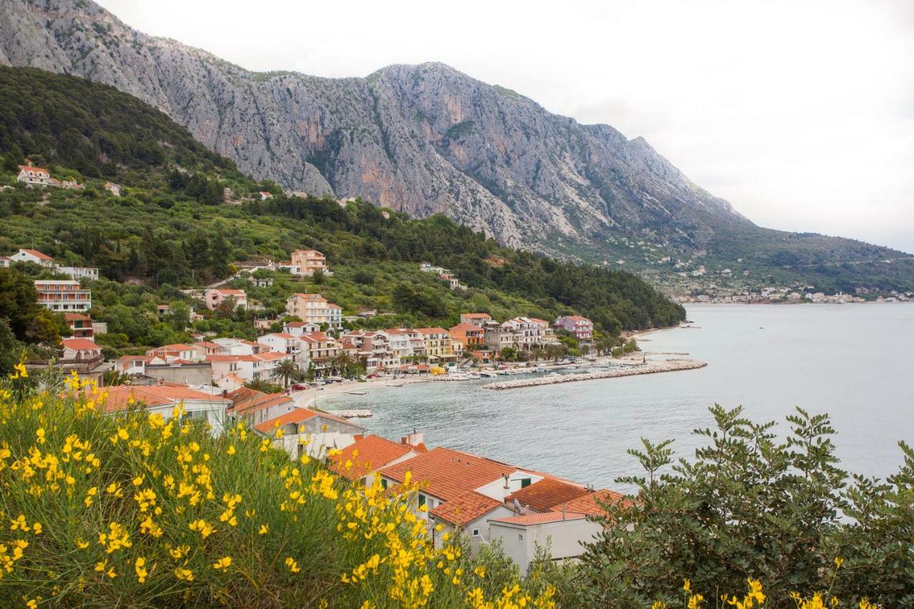 Apartments Vlado Podgora Εξωτερικό φωτογραφία